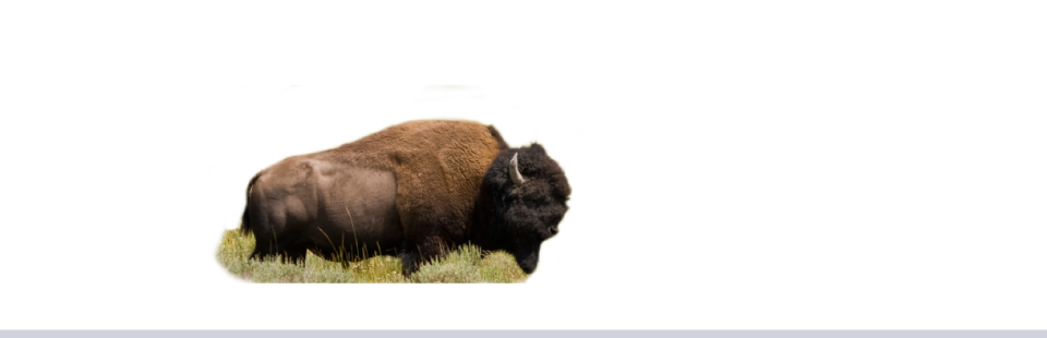Locally-Raised, Range-Fed Exotic & Game Meats | Buffalo